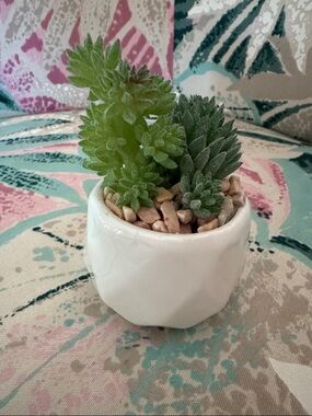 White Ceramic Planter with Green Faux Succulents (approx 3” to 4” tall)